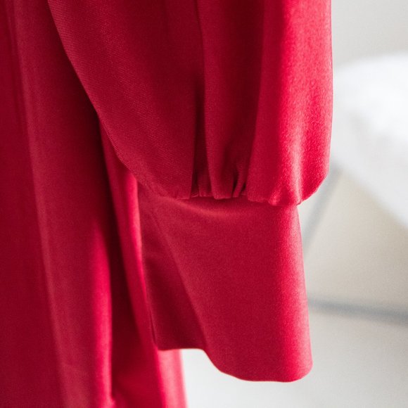 Red Dress - Picture 4 of 4